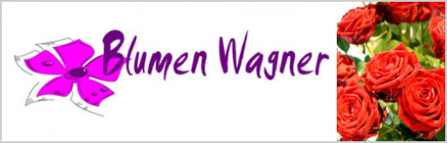 Blumen Wagner Münster - Gärtnerei Balkonblumen Grabbepflanzung Blumen Münster Tirol