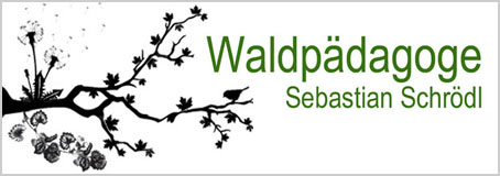 SEBASTIANS WALDPÄDAGOGIK Sebastian Schrödl - Waldpädagoge